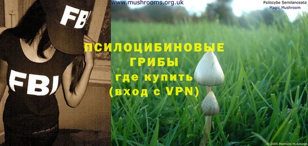 прущая мука Кодинск
