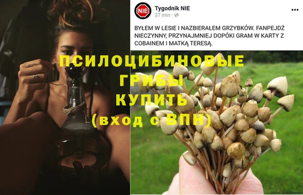 MESCALINE Козловка