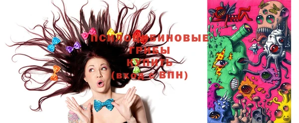 прущая мука Кодинск
